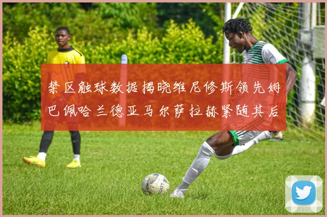 禁区触球数据揭晓维尼修斯领先姆巴佩哈兰德亚马尔萨拉赫紧随其后
