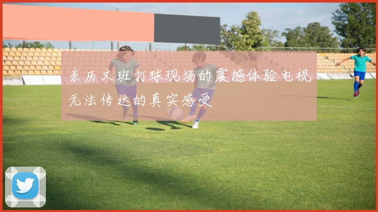 亲历文班打球现场的震撼体验电视无法传达的真实感受