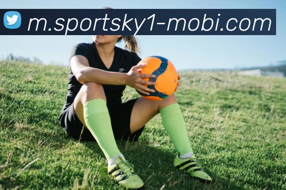 开云体育服务体系